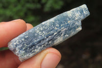 Natural Kyanite Crystal Specimens x 1.9 Kg Lot From Zimbabwe