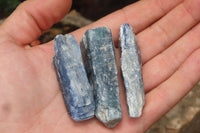 Natural Kyanite Crystal Specimens x 1.9 Kg Lot From Zimbabwe