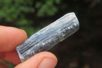 Natural Kyanite Crystal Specimens x 1.9 Kg Lot From Zimbabwe