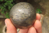 Polished Pharaoh Stone Spheres x 3 From Zimbabwe