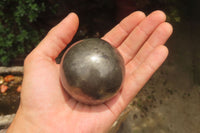 Polished Pharaoh Stone Spheres x 3 From Zimbabwe