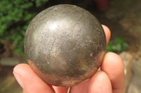 Polished Pharaoh Stone Spheres x 3 From Zimbabwe