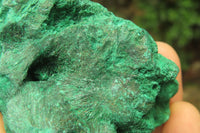 Natural Silky Malachite Specimens x 3 From Kasompe, Congo