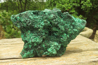 Natural Silky Malachite Specimens x 3 From Kasompe, Congo