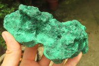 Natural Silky Malachite Specimens x 3 From Kasompe, Congo