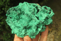 Natural Silky Malachite Specimens x 3 From Kasompe, Congo