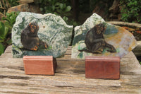 Hand Made Chimpanzee Decoupage Stone Slabs x 6 From Southern Africa