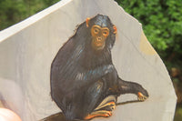 Hand Made Chimpanzee Decoupage Stone Slabs x 6 From Southern Africa