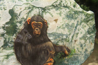 Hand Made Chimpanzee Decoupage Stone Slabs x 6 From Southern Africa