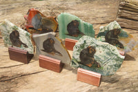 Hand Made Chimpanzee Decoupage Stone Slabs x 6 From Southern Africa