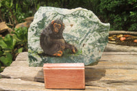 Hand Made Chimpanzee Decoupage Stone Slabs x 6 From Southern Africa