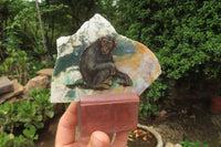 Hand Made Chimpanzee Decoupage Stone Slabs x 6 From Southern Africa