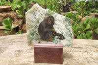 Hand Made Chimpanzee Decoupage Stone Slabs x 6 From Southern Africa