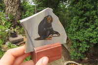 Hand Made Chimpanzee Decoupage Stone Slabs x 6 From Southern Africa