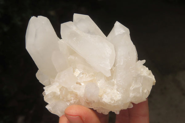 Natural Quartz Clusters x 8 From Madagascar