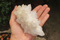 Natural Quartz Clusters x 8 From Madagascar