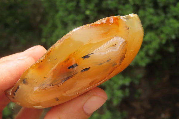 Polished On One Side Dendritic Agate x 6 From Madagascar