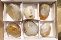 Polished On One Side Dendritic Agate x 6 From Madagascar