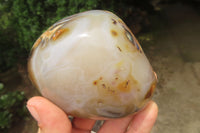 Polished On One Side Dendritic Agate x 6 From Madagascar