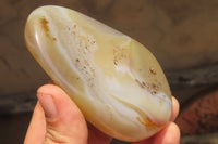 Polished On One Side Dendritic Agate x 6 From Madagascar