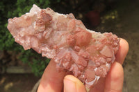 Natural Red Hematoid Quartz Clusters x 6 From Karoi, Zimbabwe