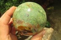 Polished Chrysoprase Spheres x 2 From Madagascar