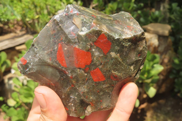 Natural Bloodstone Cobbed Specimens x 12 From Swaziland