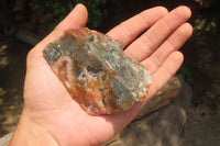 Natural Bloodstone Cobbed Specimens x 12 From Swaziland