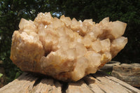 Natural Smokey Phantom Quartz Cluster x 1 From Luena, Congo