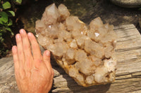 Natural Smokey Phantom Quartz Cluster x 1 From Luena, Congo