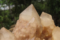 Natural Smokey Phantom Quartz Cluster x 1 From Luena, Congo