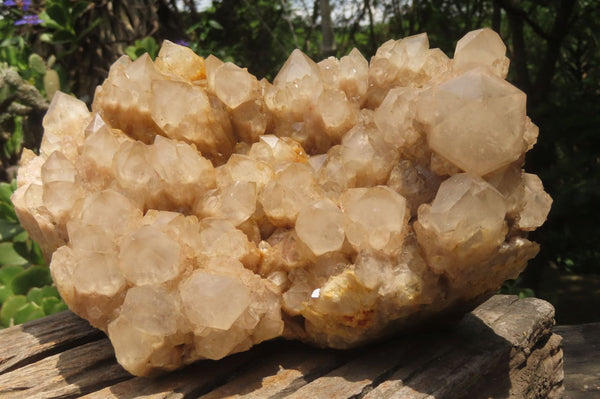 Natural Smokey Phantom Quartz Cluster x 1 From Luena, Congo