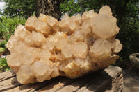 Natural Smokey Phantom Quartz Cluster x 1 From Luena, Congo