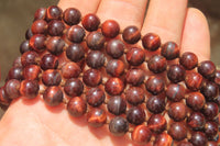 Polished Red Tigers Eye Bead Necklaces - Sold Per Item - From South Africa