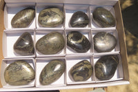 Polished Pharaoh Stone Free Forms x 12 From Zimbabwe