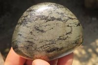 Polished Pharaoh Stone Free Forms x 12 From Zimbabwe