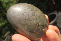 Polished Pharaoh Stone Free Forms x 12 From Zimbabwe