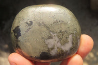 Polished Pharaoh Stone Free Forms x 12 From Zimbabwe