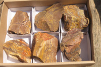 Natural Nguni Jasper Cobbed Specimens x 6 From Prieska, South Africa