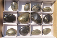 Polished Pharaoh Stone Free Forms x 12 From Zimbabwe