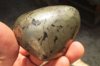 Polished Pharaoh Stone Free Forms x 12 From Zimbabwe