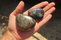 Polished Pharaoh Stone Free Forms x 12 From Zimbabwe