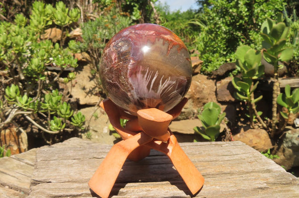 Polished Podocarpus Petrified Wood Sphere x 1 From Mahajanga, Madagascar