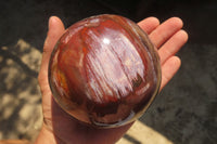 Polished Podocarpus Petrified Wood Sphere x 1 From Mahajanga, Madagascar