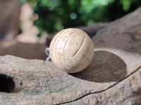 Polished Picture Stone Volleyball Keyring - Sold Per Item - From Namibia