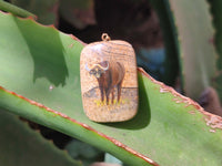 Polished Picture Stone Pendant with Hand Painted Buffalo - Sold Per Item - From Namibia