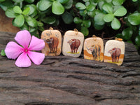 Polished Picture Stone Pendant with Hand Painted Buffalo - Sold Per Item - From Namibia