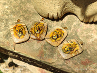 Polished Picture Stone Pendant with Hand Painted Lion - Sold Per Item - From Namibia