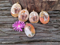 Polished Polychrome Jasper Pendant with Hand Painted Buffalo - sold per item - From Madagascar