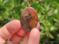 Polished Polychrome Jasper Pendant with Hand Painted Buffalo - sold per item - From Madagascar